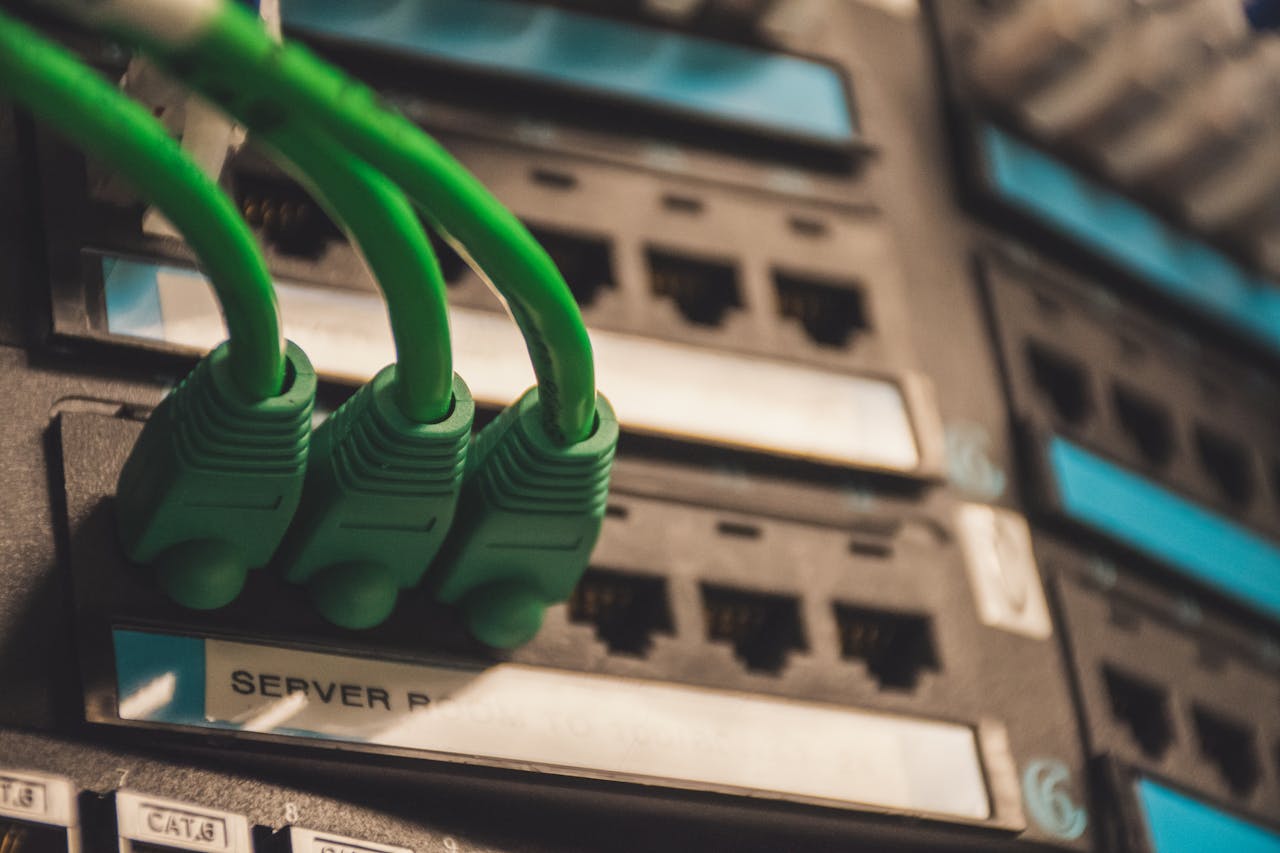 our-experience Close-up of green network cables plugged into server ports, showcasing technology setup.